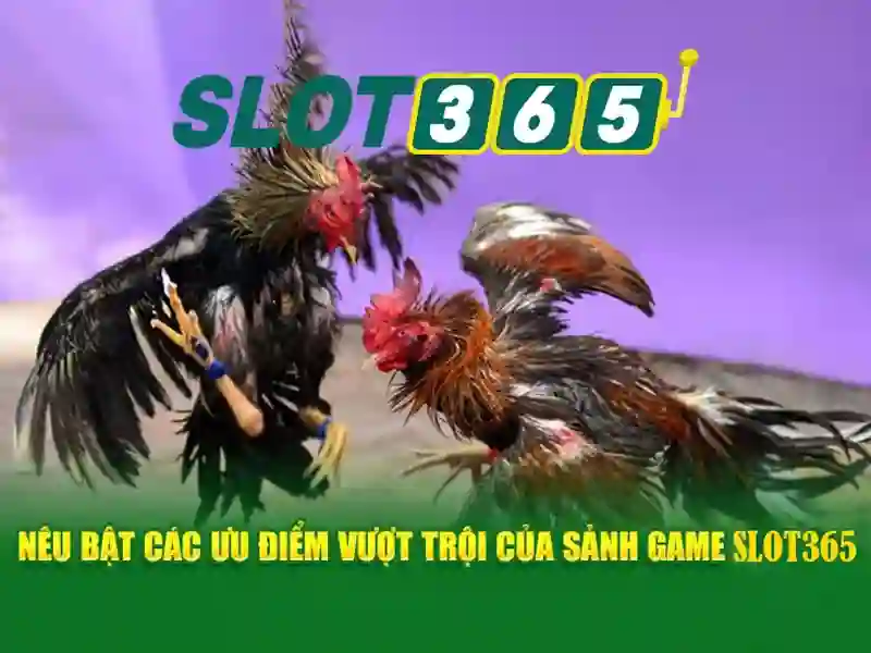 Giao diện nhà cái hoàn hảo