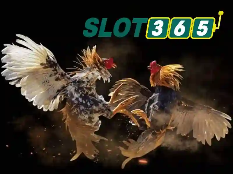 Giao diện nhà cái hoàn hảo