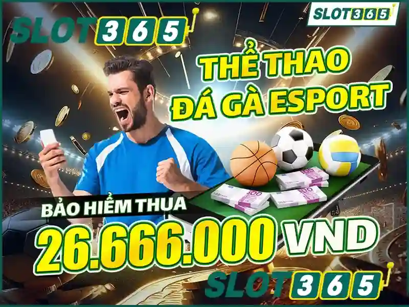 Tổng quan về Slot365