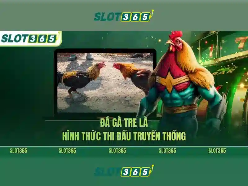 An toàn, bảo mật và thanh toán
