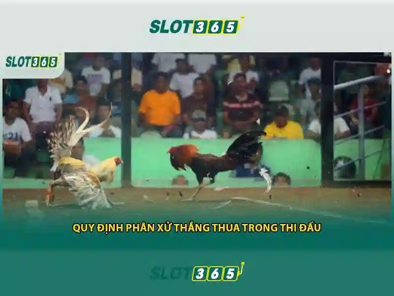 Slot365: Đánh giá tổng quan về nền tảng slot trực tuyến Giao diện nhà cái hoàn hảo