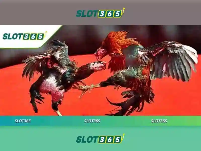 Slot365: Trải nghiệm chơi slot trực tuyến an toàn và thú vị Giao diện nhà cái hoàn hảo