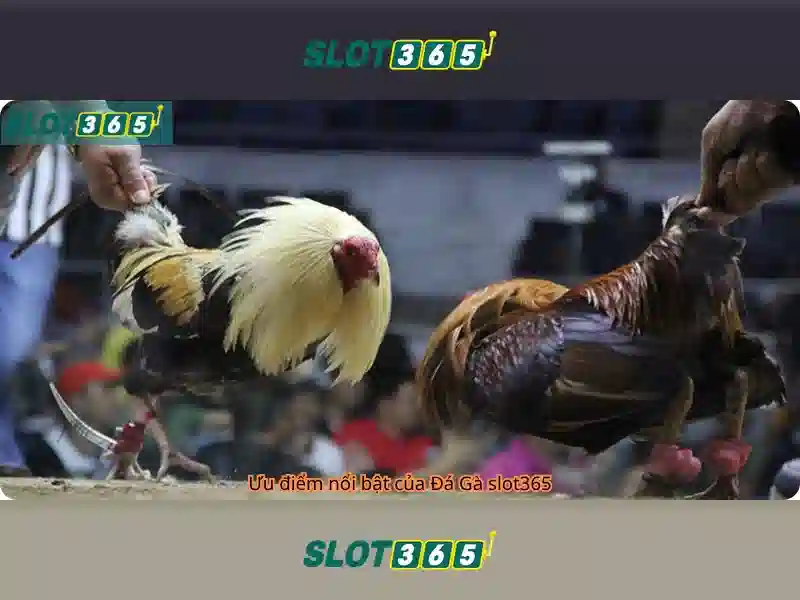 Slot365 - Nền tảng slot online an toàn và uy tín Giao diện nhà cái hoàn hảo