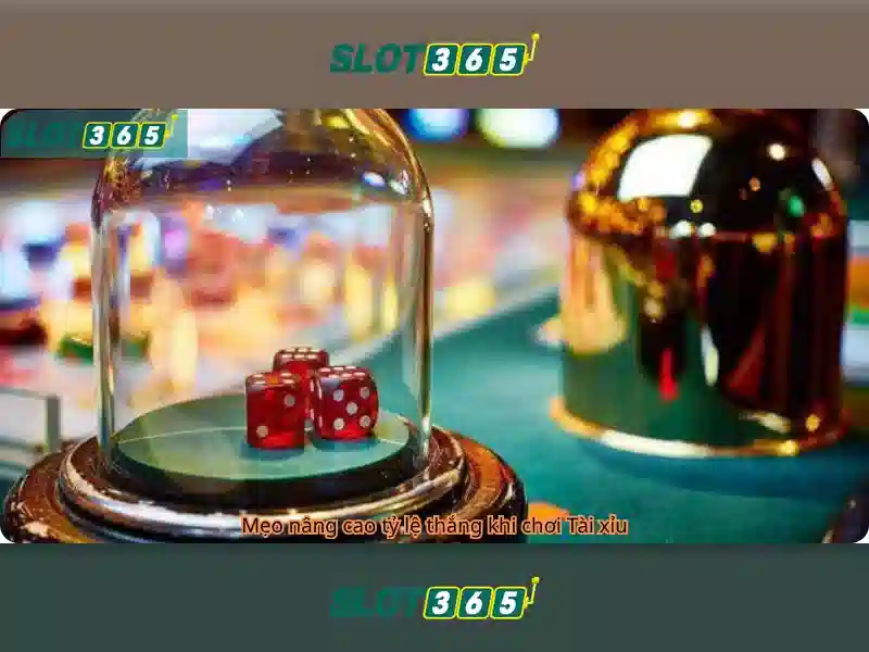 Slot365 - Nền tảng chơi slot trực tuyến hàng đầu tại Việt Nam Giao diện nhà cái hoàn hảo