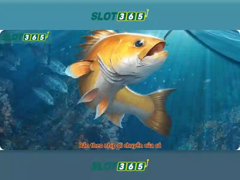 Giao diện nhà cái hoàn hảo