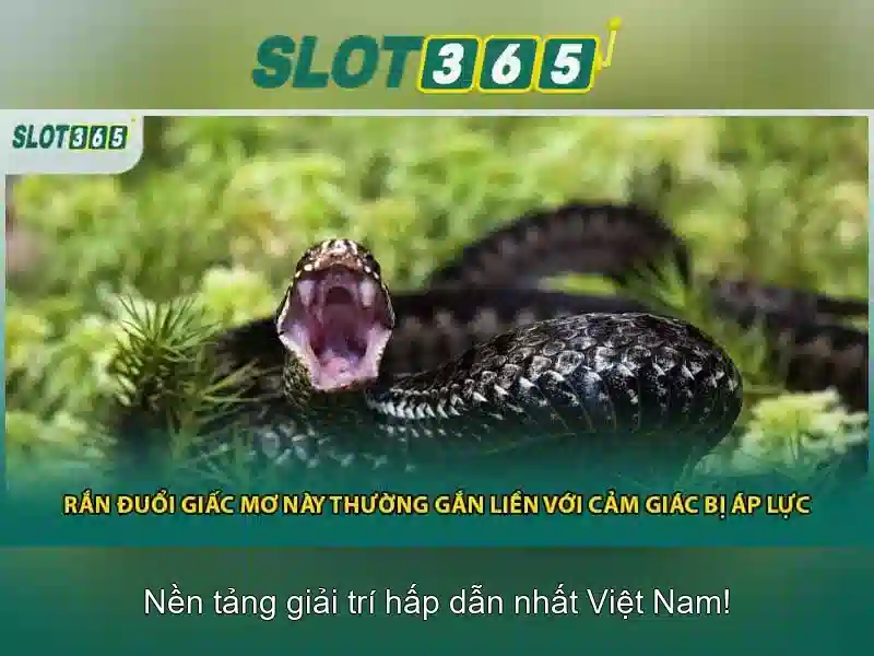 Trò chơi và tính năng tại Slot365