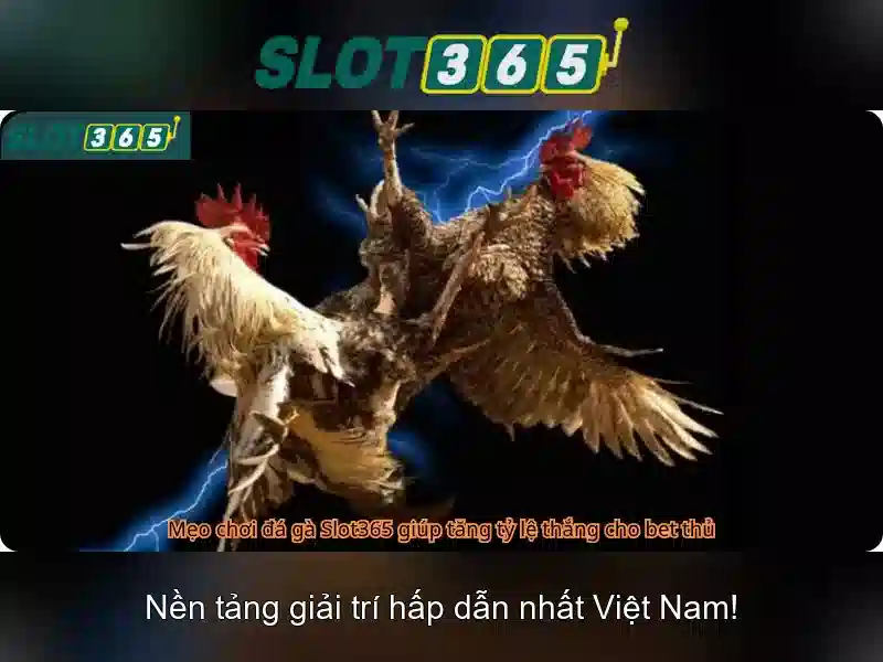 Slot365 là gì? Đánh giá và trải nghiệm Giao diện nhà cái hoàn hảo