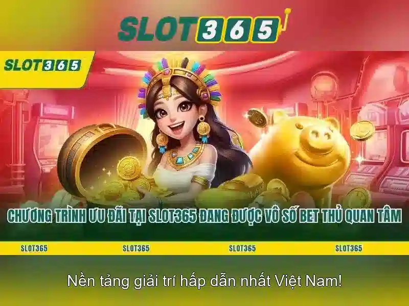 Trải nghiệm người dùng và tính năng