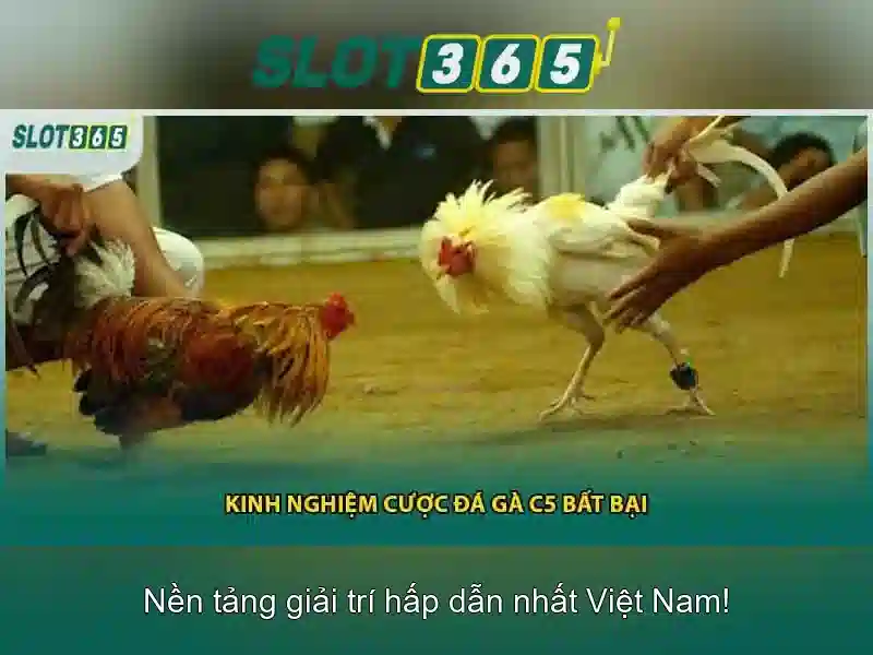 Cách đăng ký và giao dịch an toàn