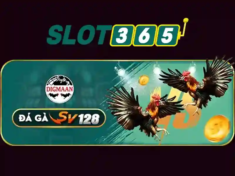 slot365. – Tổng quan chủ đề và giá trị cốt lõi