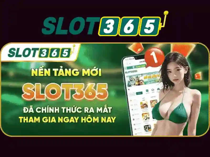 Trải nghiệm người dùng và phản hồi cộng đồng